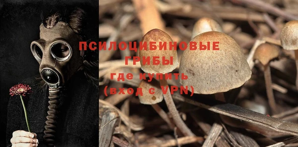 сатива Белоозёрский